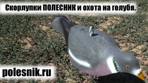 Скорлупки ПОЛЕСНИК и охота на голубя🔴ОХОТРАДИО