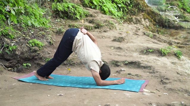 Vinyasa Yoga | Yoga & Nature - Part 1 | Yoga At Home | Yoga At Home | Cult Fit смотреть онлайн