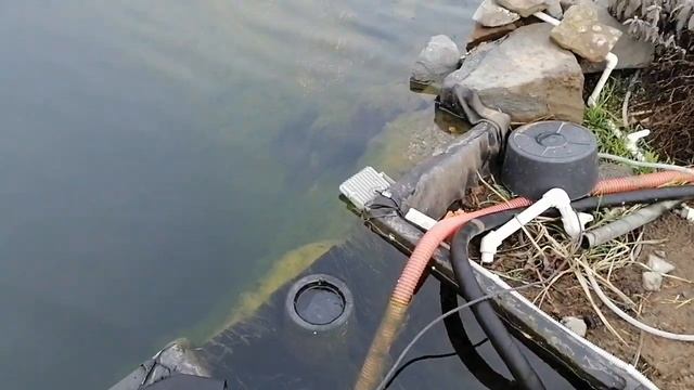 Обзор моего нового пруда.