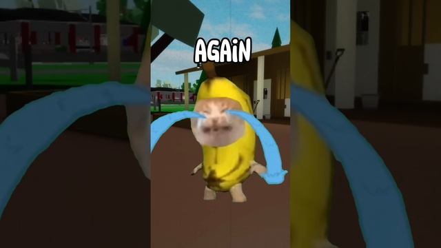 Banana cat plays kite! ? #elgato #bananacat #roblox #brookhaven смотреть онлайн