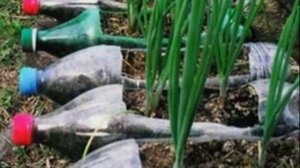 Как использовать Пластиковые Бутылки на Даче