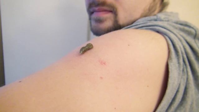 Научные Нубы - 