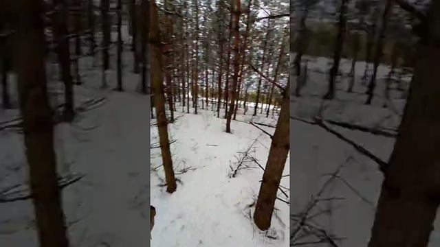 Глазами всадника. Татарский конь. Татарская лошадь смотреть онлайн