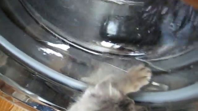 Жил-был Кот смотреть онлайн