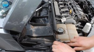 Установка амортизаторов капота на Ford Focus 3 / Форд Фокус 3