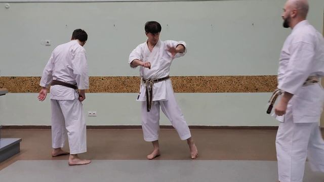 Tekki Shodan kata Oyo bunkai (full kata) смотреть онлайн
