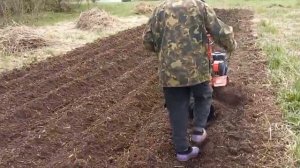 Нарезка борозд и посадка картофеля плугом окучник.