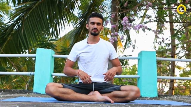 Как делать Капалабхати? Значение этой пранаямы и техника выполнения. смотреть онлайн