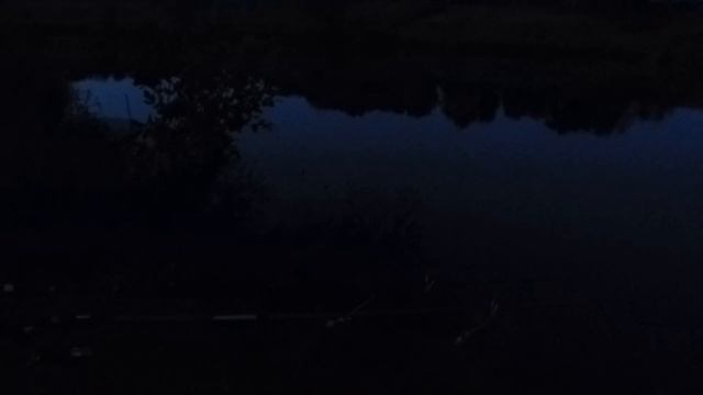 РЫБАЛКА НА ФИДЕР НА ПРУДУ. НАБОМБИЛИ ПЛОТВЫ,ПЛОТВА КАК СЕЛЕДКА.Рыбалка Белгород. смотреть онлайн