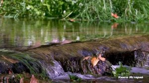 Беременная таксистка подобрала на трассе бродягу и отвезла в больницу… А когда на следующее утро...