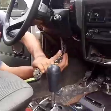 Змея в салоне автомобиля смотреть онлайн