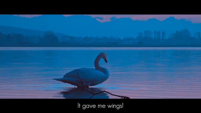 The Whim - Journey of the Soul (Based on God Speaks by Avatar Meher Baba) смотреть онлайн