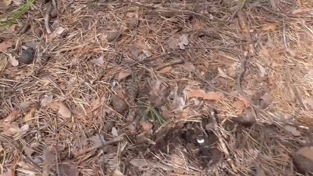 Делай То, Что Вдохновляет Жизнь