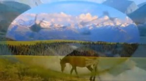 Гимн Алтайского края - Михаил Евдокимов