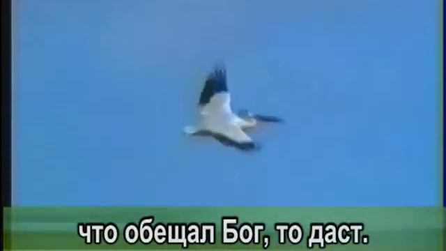 Обетованья # фонограмма смотреть онлайн