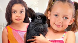 Потерянный Кролик | Что ты видишь?