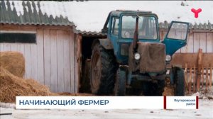 Начинающий фермер / Тюменская область