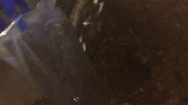 Подводная Охота На Раков. Как и Где Ловить Раков. Ночная Подводная Охота.Осенний Налим.Речная Треск смотреть онлайн