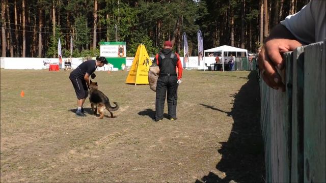 Ацель Хоф Арнет смотреть онлайн