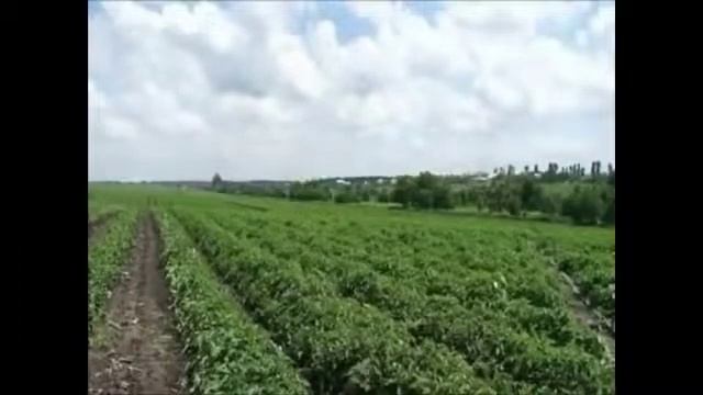 Обзор Агро Premium смотреть онлайн