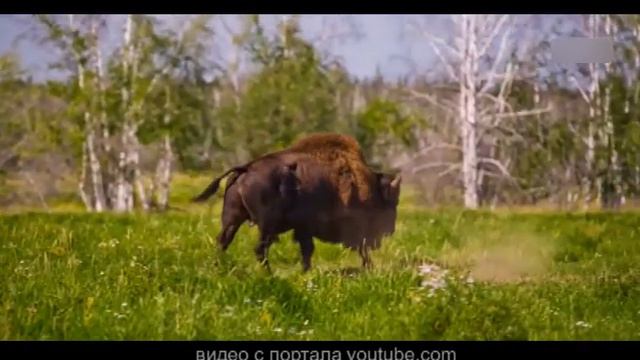 03 02 17 Дальний Восток смотреть онлайн