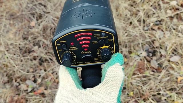 Сад 1. КОП 2021. МД6250 (ACE250) против металлоискателя AR944. Короткая версия видео