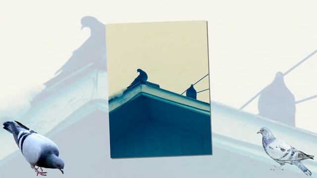 Памяти бабушки и дедушки смотреть онлайн