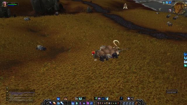 WOTLK Mage Aoe Leveling Guide level 68 - 80 смотреть онлайн