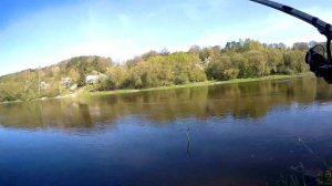 Голавль Ловля в проводку