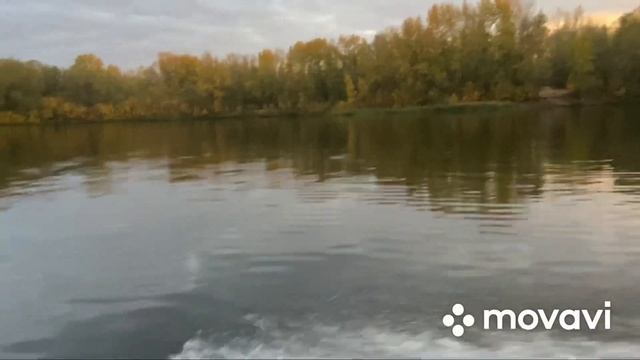 Осенняя вылазка на разведку удалась на отлично, таких красавцев нужно еще поискать#окунь#осень смотреть онлайн