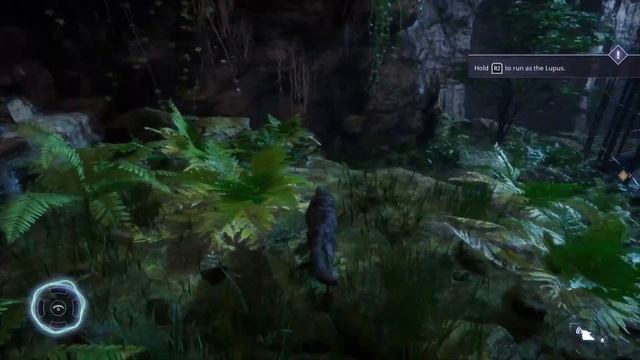 "This Sucks, First Worst Game of 2021!" - Werewolf: The Apocalypse Earthblood Game Review смотреть онлайн