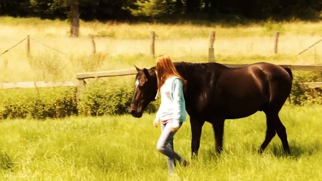 OSTWIND смотреть онлайн