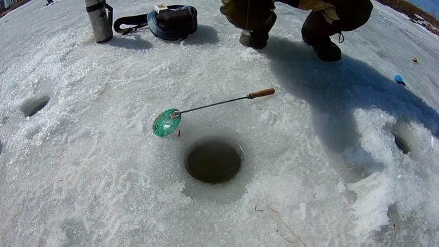 ПОСЛЕДНИЙ ЛЕД 2018| ВСЕ ЗАТОПЛЕНО | Ловля карася и ротана. смотреть онлайн