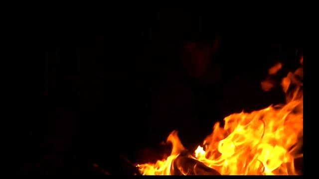 fairy forest смотреть онлайн