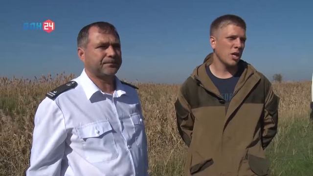 Уборка риса в Ростовской области.mp4 смотреть онлайн