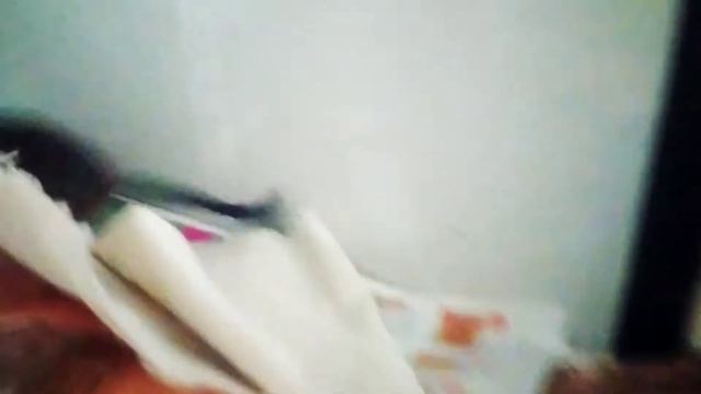 МЫШОНОК ДЕГУ ОЧЕНЬ ОЧЕНЬ ЛЮБИТ ГРЕЦКИЕ ОРЕХИ 🐿🐭 смотреть онлайн