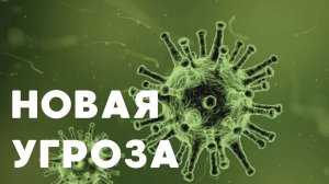 Энергетический кризис 2024 // Разборки внутри кремля