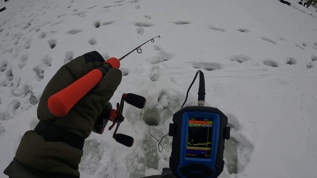 Ловля форели на вибы с помощью эхолота "Практик 8" в рыбном хозяйстве "Лепсари", г. Санкт-Петербург смотреть онлайн