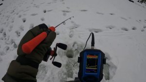 Ловля форели на вибы с помощью эхолота "Практик 8" в рыбном хозяйстве "Лепсари", г. Санкт-Петербург