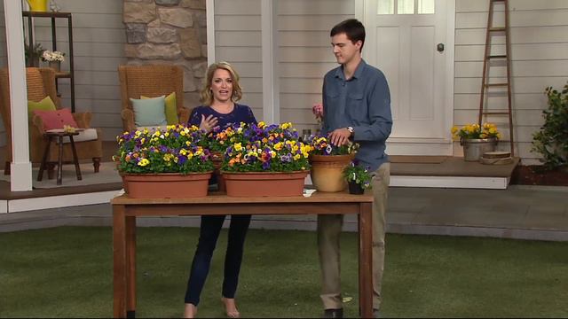 Roberta's 6-piece Fragrant Penny Series Viola on QVC смотреть онлайн
