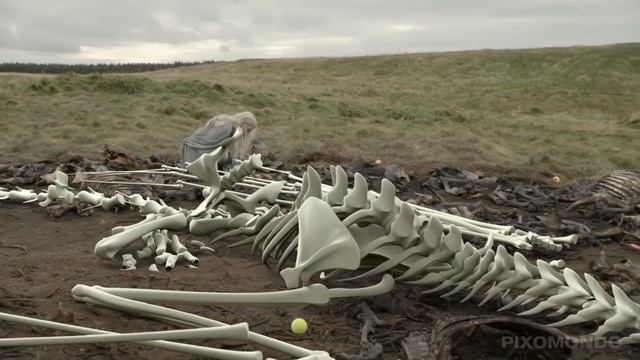 GAME OF THRONES "Raising Dragons From Hatchlings to Adulthood" | VFX Breakdown by Pixomondo смотреть онлайн