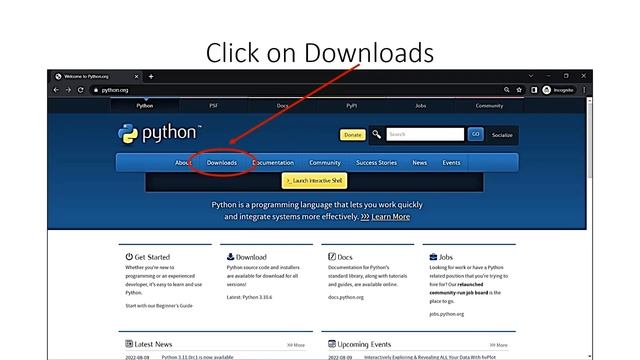Introduction to Python | Python #1 | TecHead Master смотреть онлайн