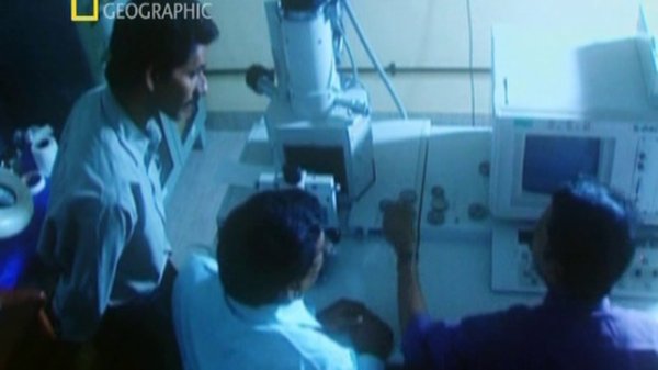 Кровавый дождь и космическое желе