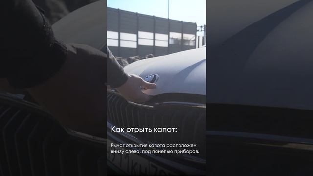 Неизведанные автомобильные сокровища