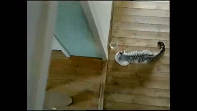 Реклама Whiskas 2005 смотреть онлайн