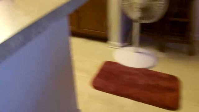 Denver, Zoe & Maxie - Dog Sitting Video #3 смотреть онлайн