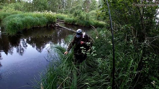 ОДИН ДЕНЬ ИЗ ЖИЗНИ КАРАКАТОВОДОВ // ЯГОДЫ,РЫБАЛКА,ПУТЕШЕСТВИЯ. смотреть онлайн