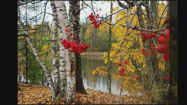 Осенняя радость. Александр Блок. смотреть онлайн