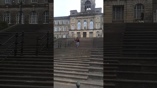 Unicycle down steps смотреть онлайн