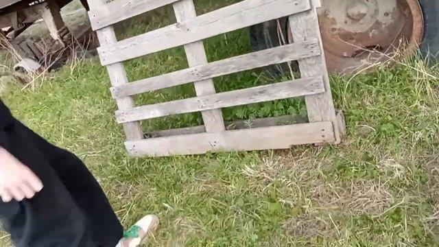 поход в поля!/#хоббихорсинг #походвполя смотреть онлайн